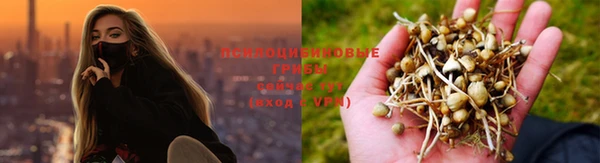 ALPHA PVP Коряжма