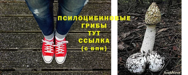 спайс Костерёво