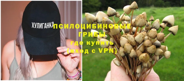 ALPHA PVP Коряжма